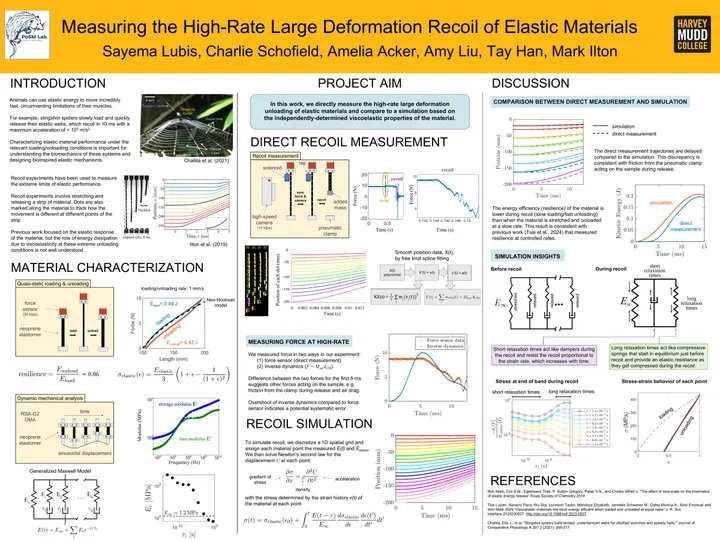 Research poster, Measuring the High-Rate Large Deformation Recoil of Elastic Materials